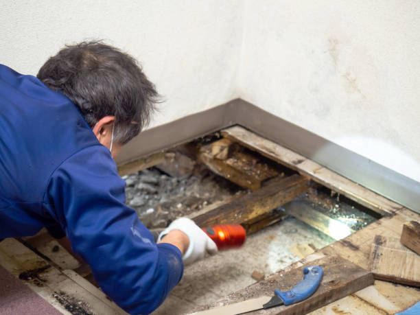 Best Mold Remediation for Schools in Spring Valley, NY
