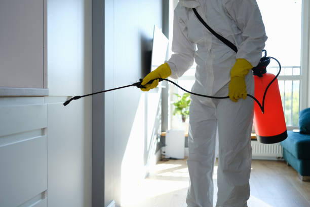 Trusted Spring Valley, NY Mold Remediation Experts